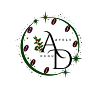 Ayele Degu International Hotel logo